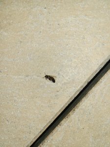 20230717_232014.jpg 20230717_232014.jpg