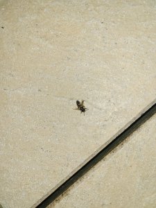 20230717_232007.jpg 20230717_232007.jpg