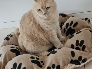 20230629_114415.jpg 20230629_114415.jpg