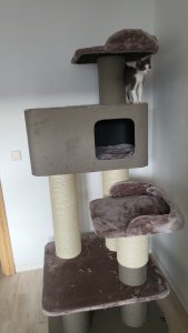 IMG-20230812-WA0012.jpeg IMG-20230812-WA0012.jpeg