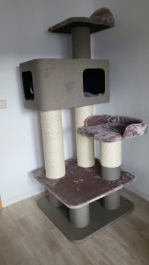 IMG-20230812-WA0014.jpeg IMG-20230812-WA0014.jpeg