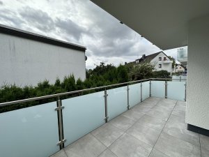 IMG_8350.jpeg IMG_8350.jpeg