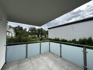 IMG_8349.jpeg IMG_8349.jpeg