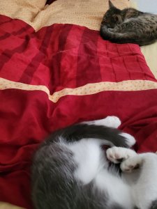 20230828_154701.jpg 20230828_154701.jpg