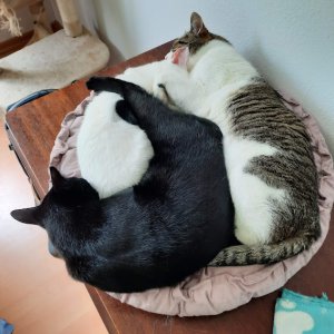 20210716_154246 (1).jpg