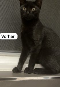 IMG_1597.jpeg IMG_1597.jpeg