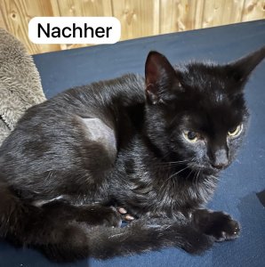 IMG_1599.jpeg IMG_1599.jpeg