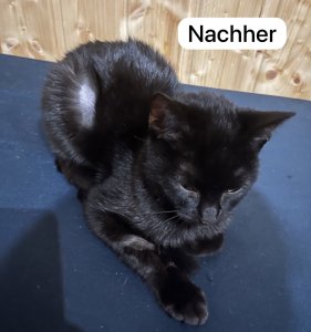 IMG_1600.jpeg IMG_1600.jpeg