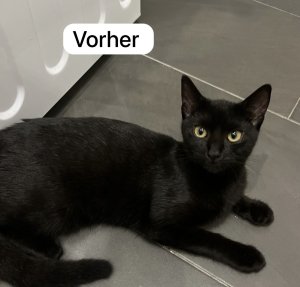 IMG_1596.jpeg IMG_1596.jpeg