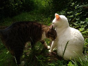 IMG_20200628_161950182.jpg IMG_20200628_161950182.jpg