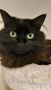 WhatsApp Bild 2023-09-12 um 21.56.28.jpg