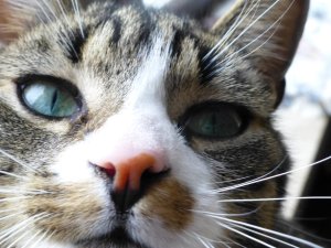 ext festplatte 8314.JPG