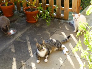 ext festplatte 12271.JPG