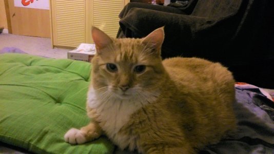 DSC_0067.JPG DSC_0067.JPG