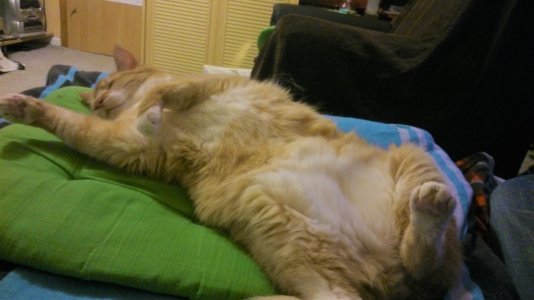 DSC_0069.JPG DSC_0069.JPG