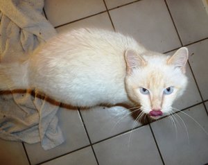 P1070872 - Kopie.jpg