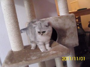 DSCI0011 - Kopie.jpg