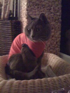 pitu welcome home.JPG