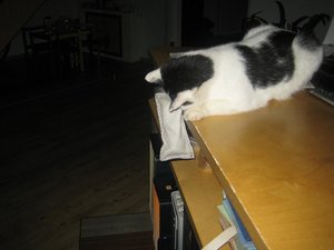 Urflaub udn herr Krause 031.jpg