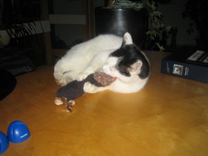 Urflaub udn herr Krause 022.jpg