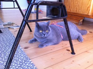 Türkei Urlaub und November 149.jpg