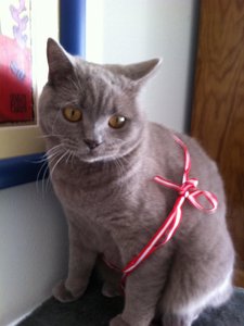 Türkei Urlaub und November 146.jpg