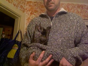 Foto am 12-11-2011 um 17.03.jpg