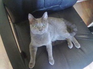 Yuki neugierig wie immer.jpg