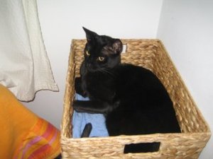 Urlaub Nov. 2009 069.jpg