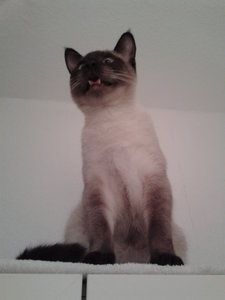 2011-11-21 20.10.02.jpg