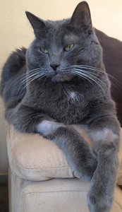 Pitù gestern morgen.JPG