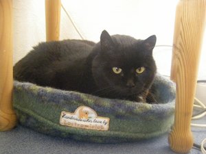 {D7C98AA5-2085-422C-9789-4CBAE1F12B75}-IMGP3225 (800x600).jpg