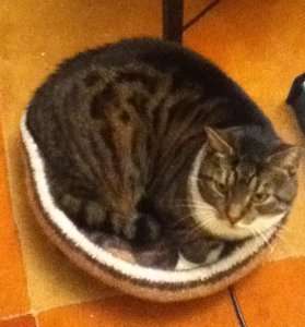 Nicky Bettchen 5.JPG