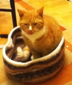 Milou Bettchen 3.JPG