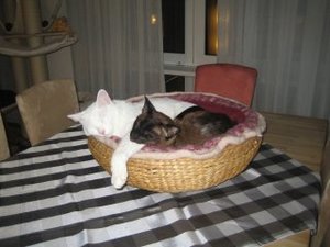 vieles und mehr 002.jpg