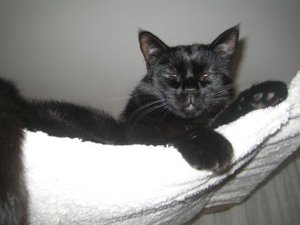 vieles und mehr 004.jpg