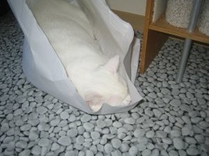 vieles und mehr 007.jpg