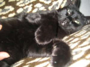 vieles und mehr 013.jpg