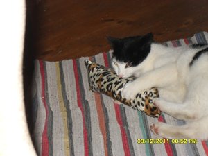 berauscht 023 [800x600].jpg