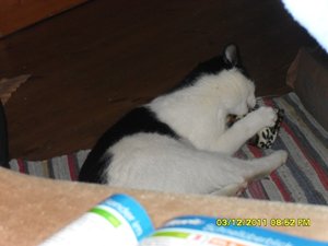 berauscht 022 [800x600].jpg