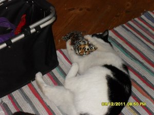 berauscht 021 [800x600].jpg