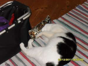 berauscht 020 [800x600].jpg