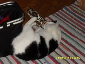 berauscht 019 [800x600].jpg