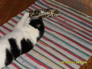 berauscht 018 [800x600].jpg