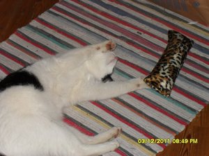 berauscht 017 [800x600].jpg