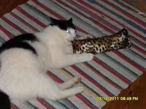 berauscht 016 [800x600].jpg