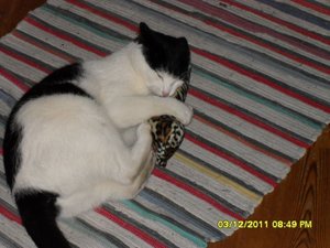 berauscht 015 [800x600].jpg