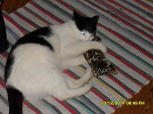 berauscht 014 [800x600].jpg