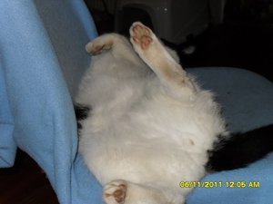 berauscht 001 [800x600].jpg