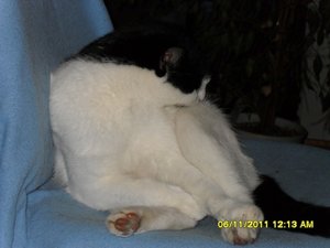 berauscht 002 [800x600].jpg